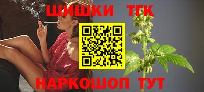 гашик Кинель