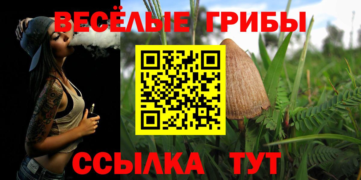 Псилоцибиновые грибы GOLDEN TEACHER Великие Луки