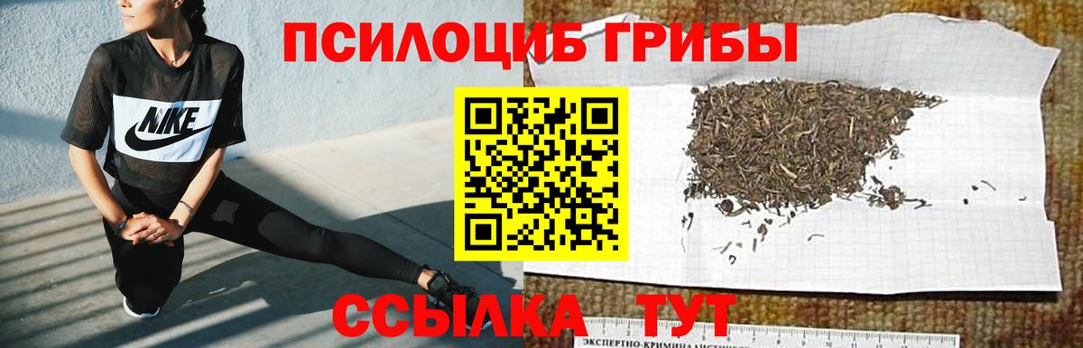 Великие Луки  Псилоцибиновые грибы Magic Shrooms  Вход с VPN 